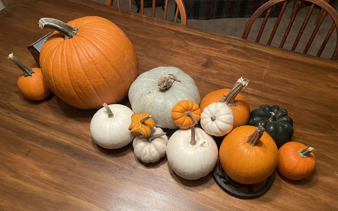Pumpkins and Fall